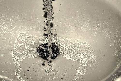 440585511_39505befab (1).jpg