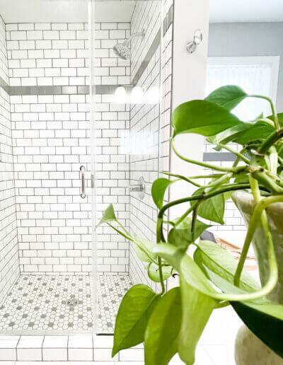 green plant on right with white tiled shower and clear glass door in the background